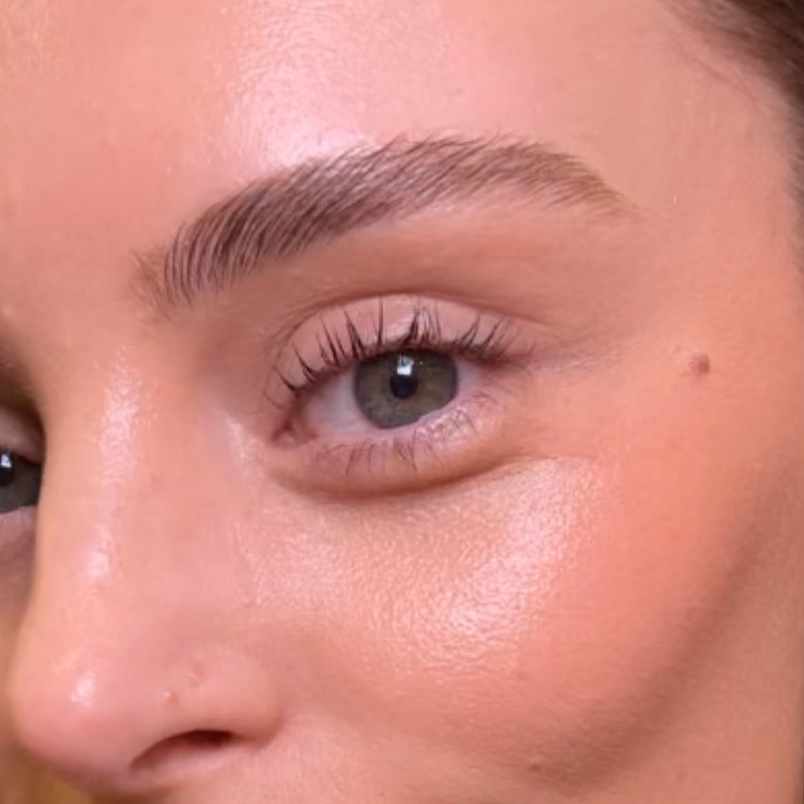 The Brow Styler